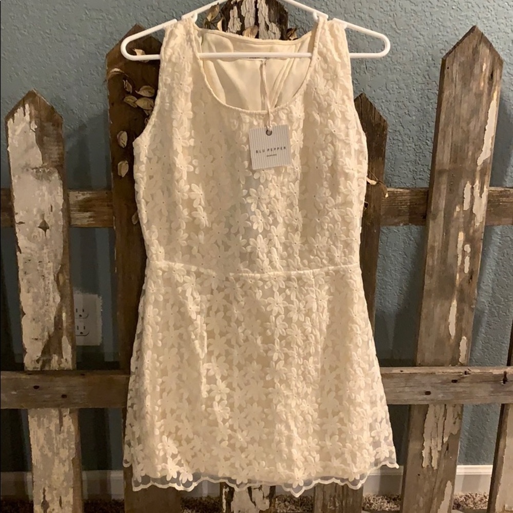 Blu Pepper dress size Large